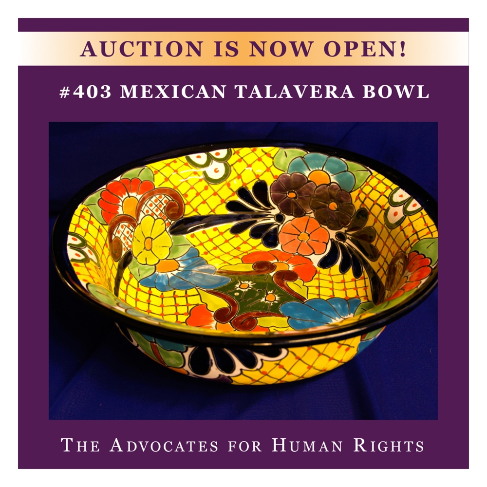 Mexican Talavera Bowl